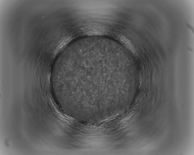 X0000096670491200803041223