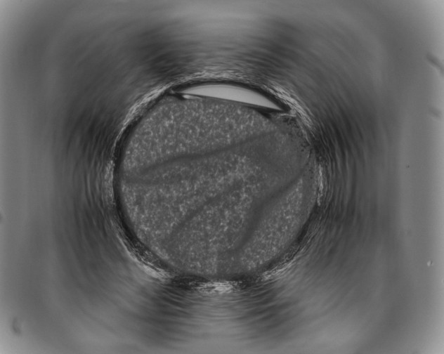 X0000096670492200803041223