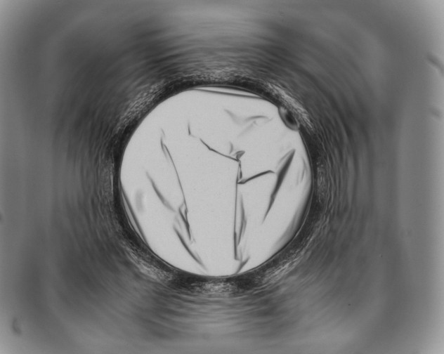 X0000096670493200803041223