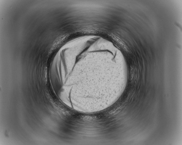 X0000096670494200803041223