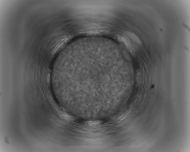 X0000096670495200803041223