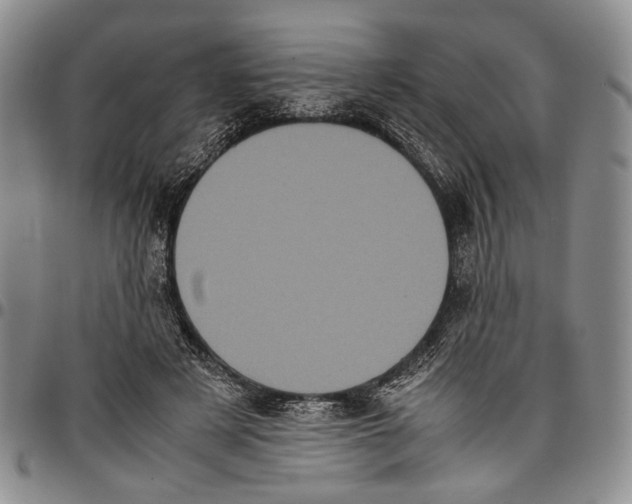 X0000096670497200803041223
