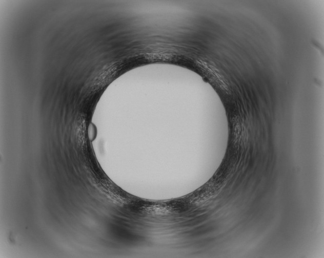 X0000096670498200803041223