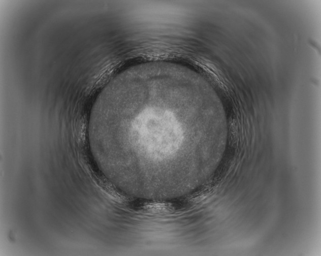 X0000096670499200803041223