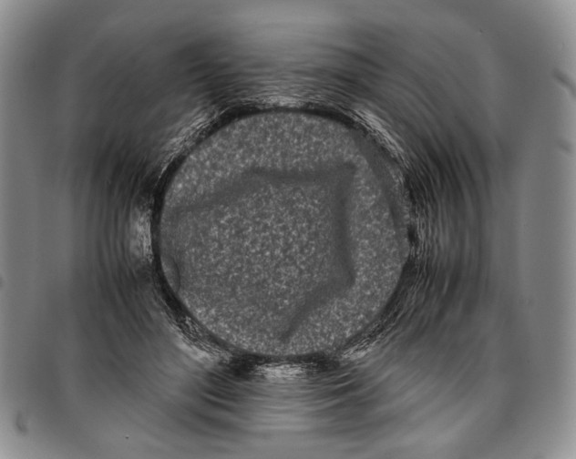 X0000096670500200803041223