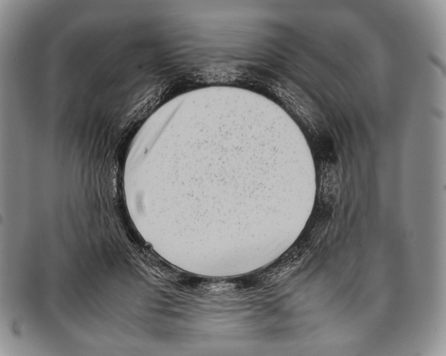 X0000096670501200803041223