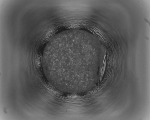 X0000096670503200803041223
