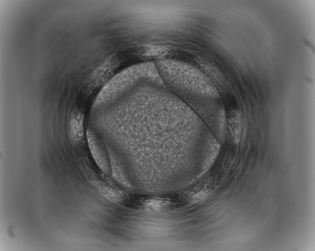 X0000096670504200803041223
