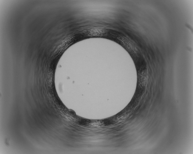 X0000096670505200803041223
