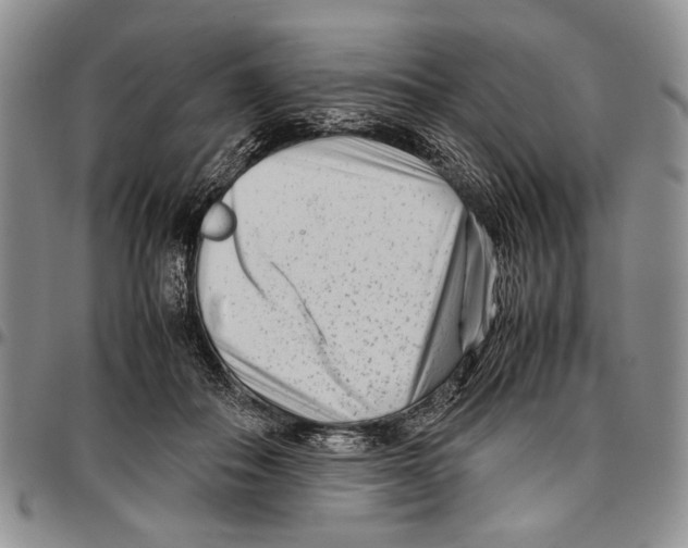 X0000096670506200803041223