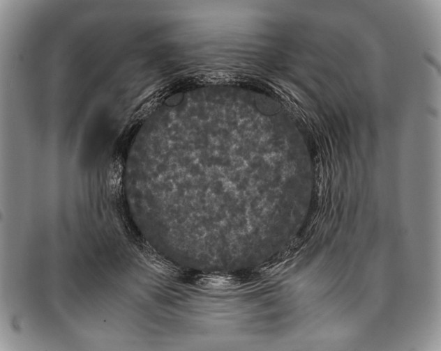 X0000096670507200803041223