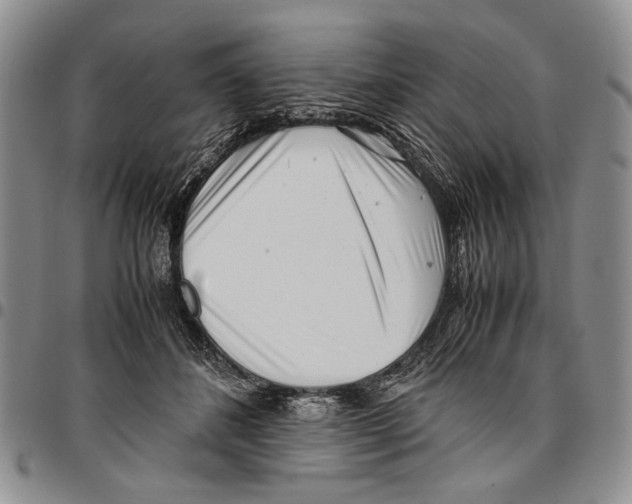 X0000096670508200803041223