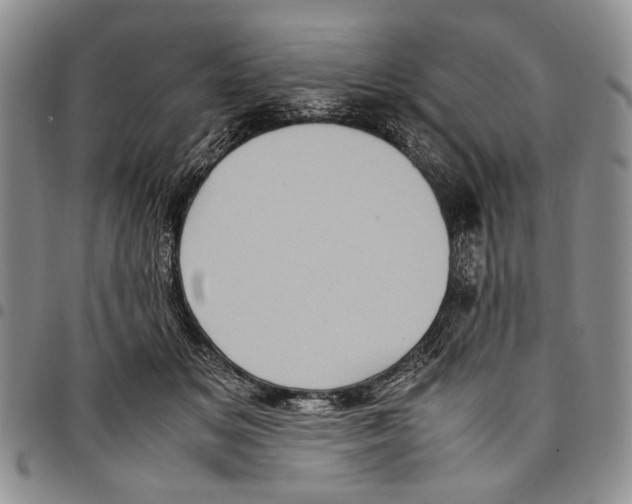 X0000096670509200803041223