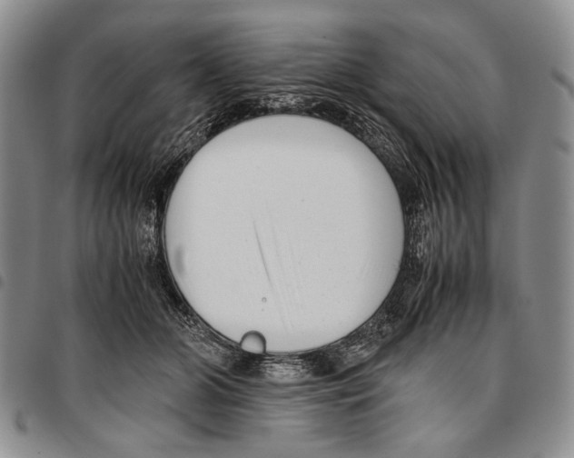 X0000096670510200803041223