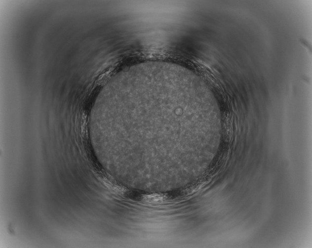 X0000096670511200803041223