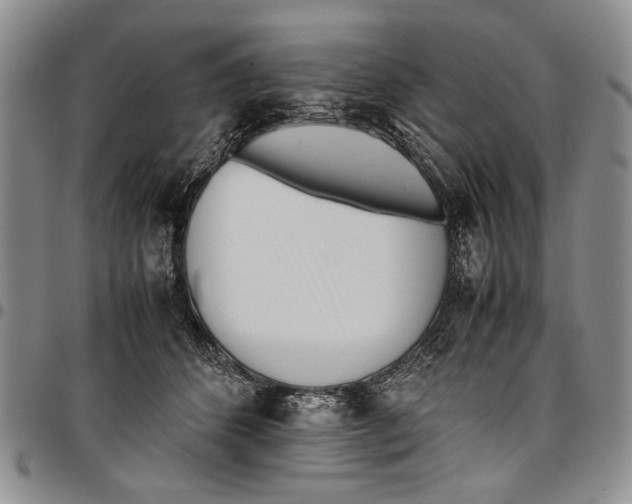 X0000096670512200803041223