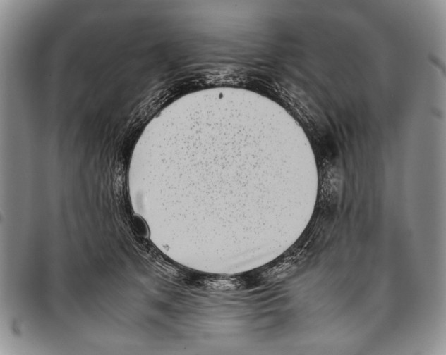 X0000096670513200803041223