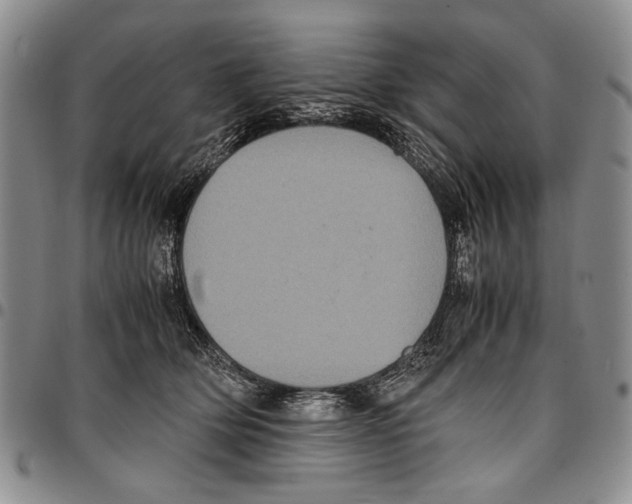 X0000096670514200803041223