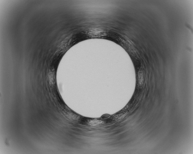 X0000096670515200803041223