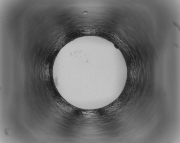 X0000096670516200803041223