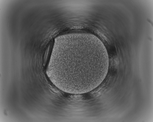 X0000096670517200803041223