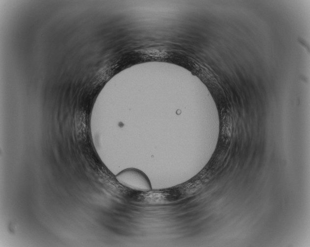 X0000096670518200803041223