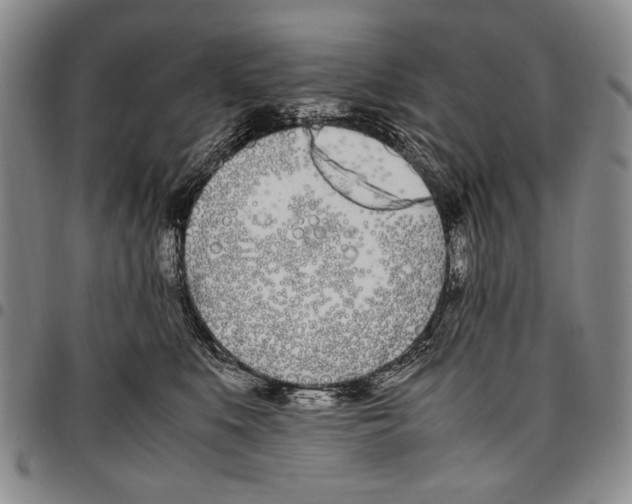 X0000096670519200803041223