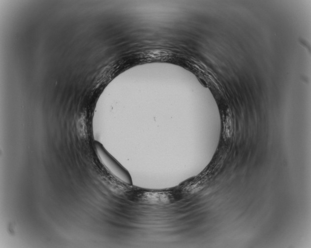 X0000096670520200803041223