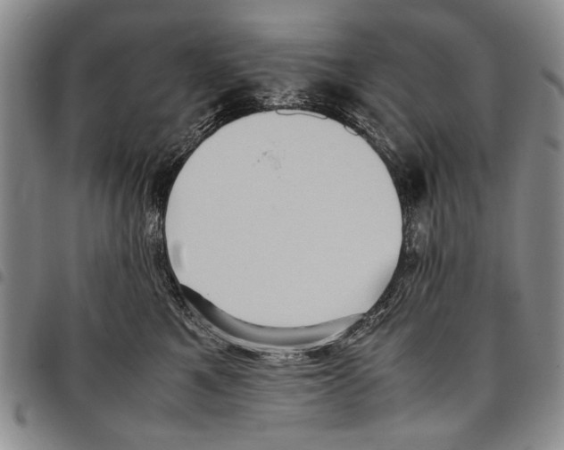 X0000096670521200803041223