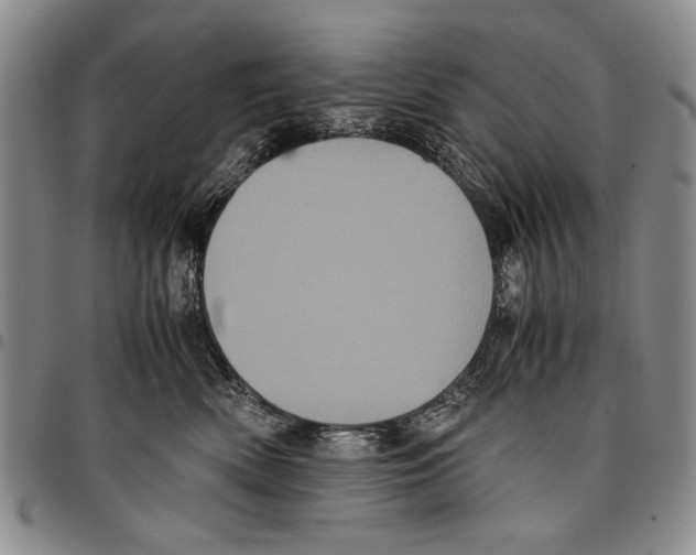 X0000096670522200803041223
