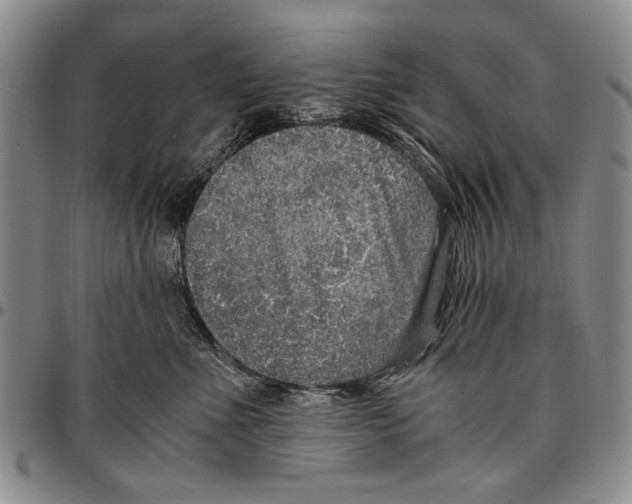 X0000096670523200803041223