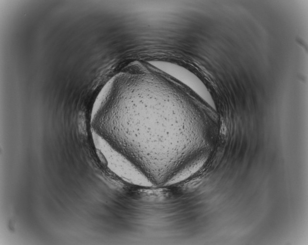X0000096670524200803041223