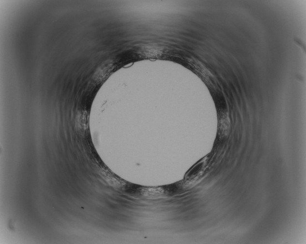 X0000096670525200803041223