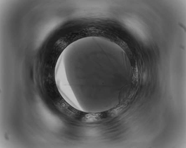 X0000096670526200803041223