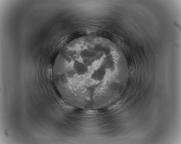 X0000096670527200803041223