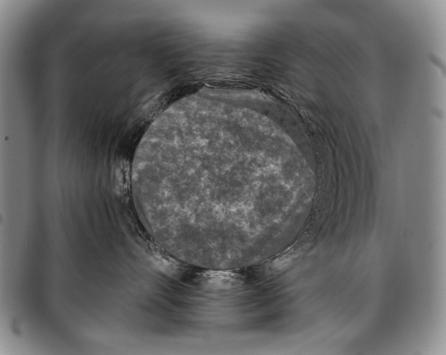 X0000096670528200803041223