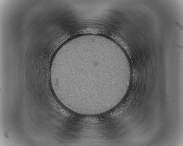 X0000096670529200803041222