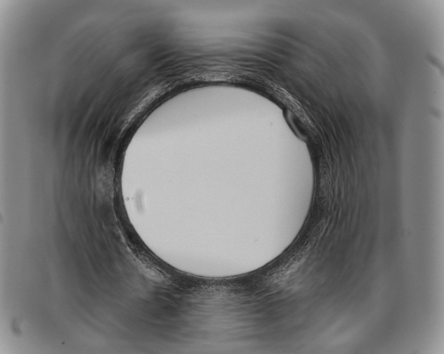 X0000096670530200803041222