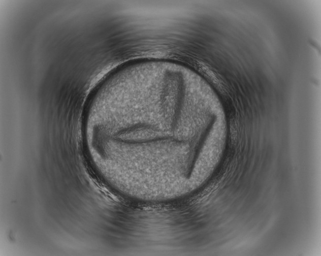 X0000096670532200803041222