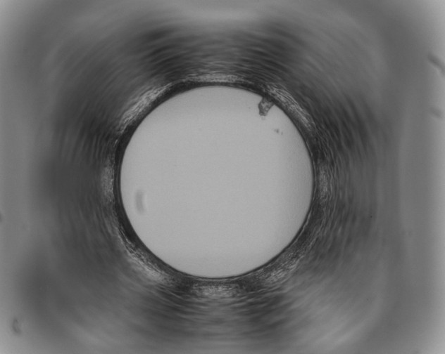 X0000096670533200803041222