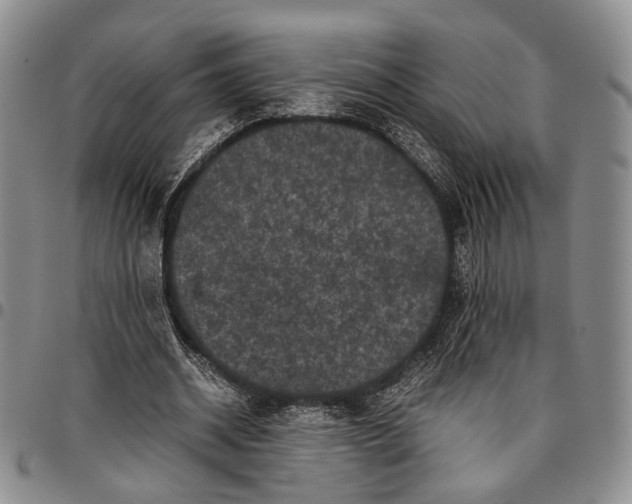X0000096670534200803041222