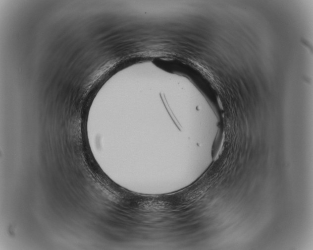X0000096670535200803041222