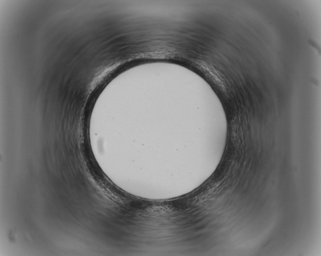 X0000096670536200803041222