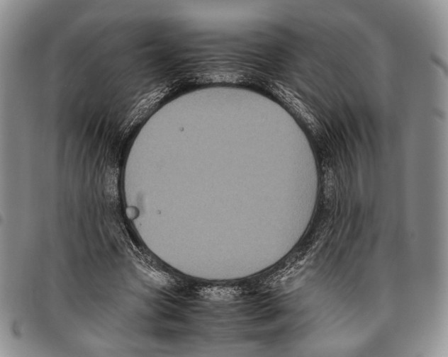 X0000096670537200803041222