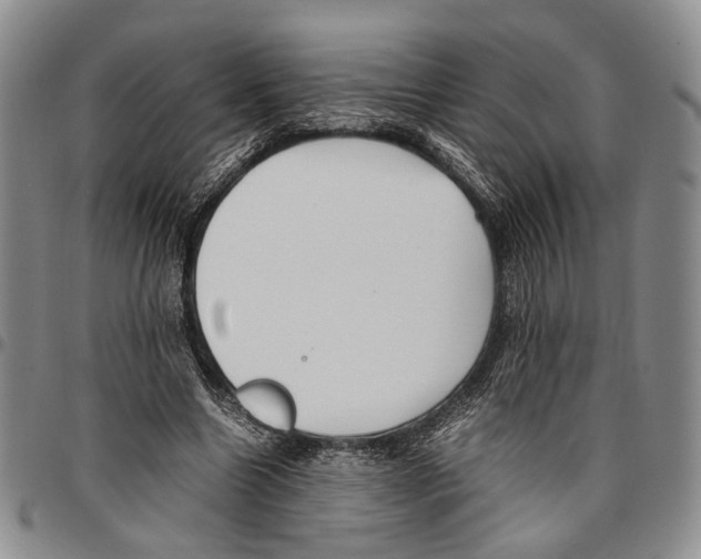 X0000096670538200803041222
