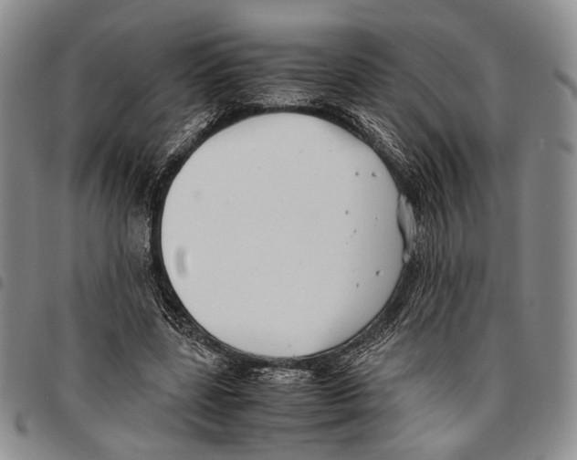 X0000096670539200803041222