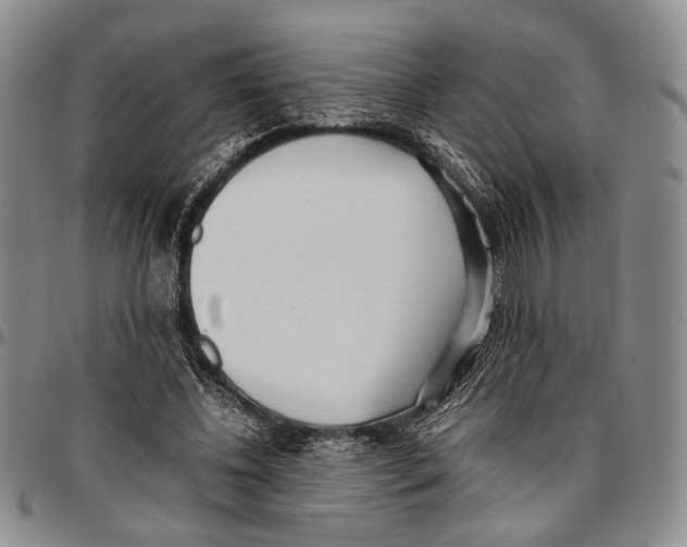 X0000096670540200803041222