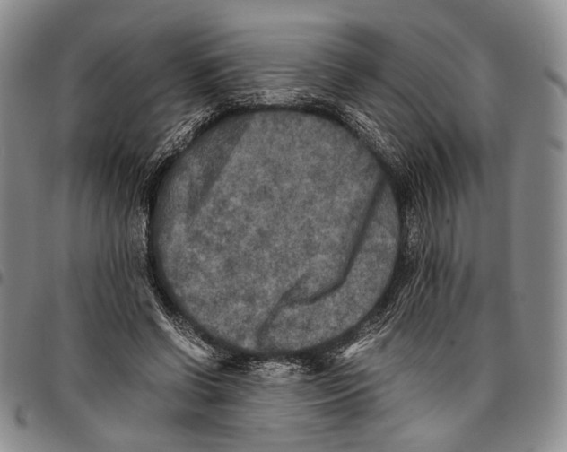 X0000096670542200803041222
