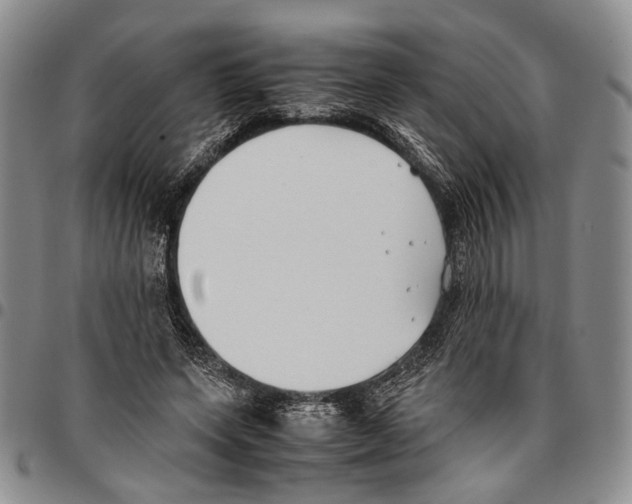 X0000096670543200803041222