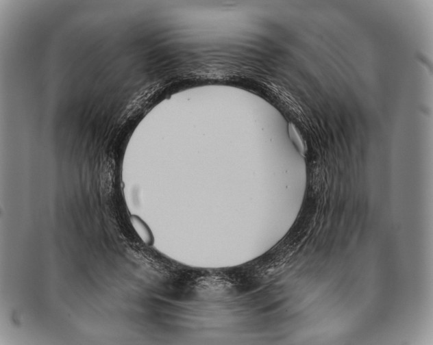 X0000096670544200803041222